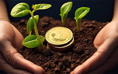 那个网贷扣子能下款，今年推荐5个有没有好下款的网贷口子