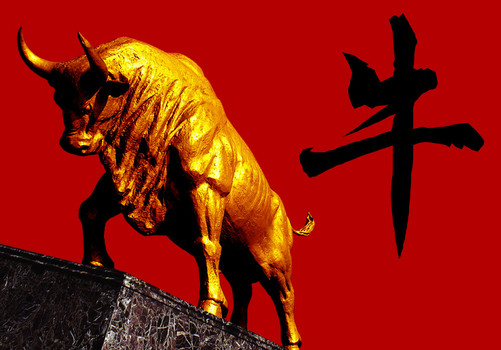 2025年最新8月网贷买会员下款，盘点五个不看征信的网贷