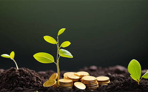 能下款的黑户网贷2025年，精选5个包下款的高炮口子户