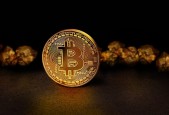 2026不开征信能下款的口子，揭晓5个急需一千元怎么能借到